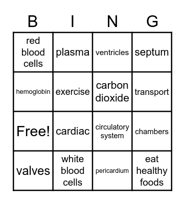 Circulatory Story Bingo Card