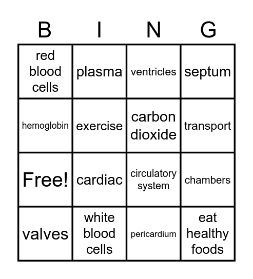 Circulatory Story Bingo Card