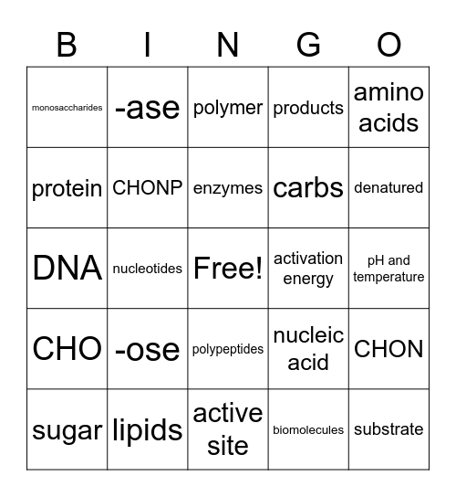 Biomolecules and Enzymes Bingo Card