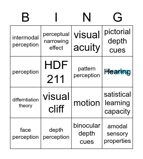 Perceptual Development Bingo Card