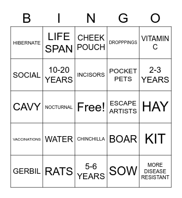 Rodents Bingo Card