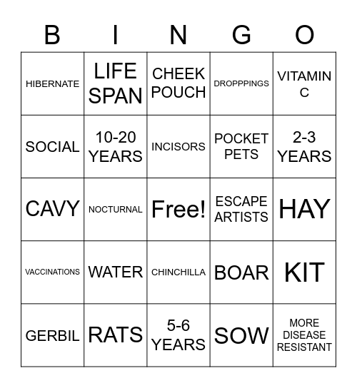 Rodents Bingo Card