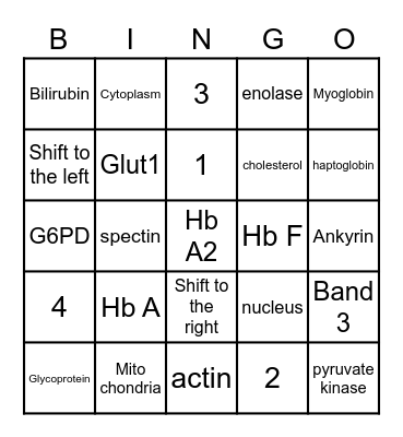 RBC function and physiology + Red blood cells metabolism and destruction I Bingo Card
