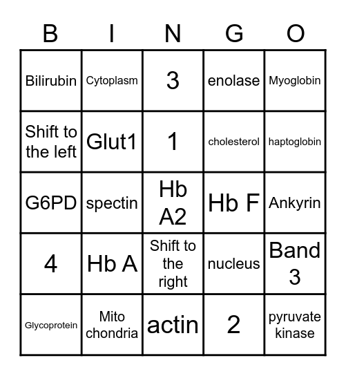 RBC function and physiology + Red blood cells metabolism and destruction I Bingo Card