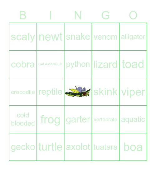 REPTIZOO INC. Bingo Card