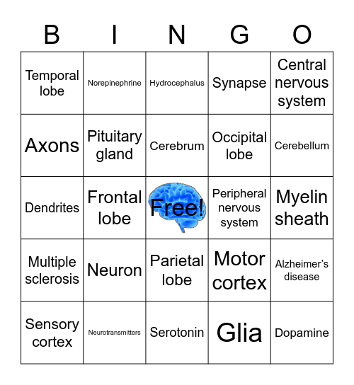 Neuroscience Bingo Card