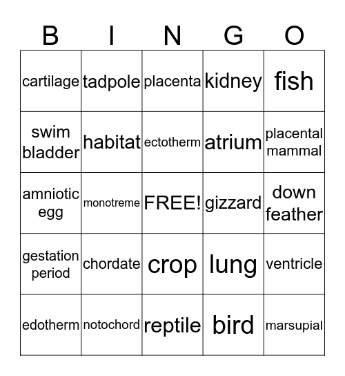 Vertebrates Bingo Card