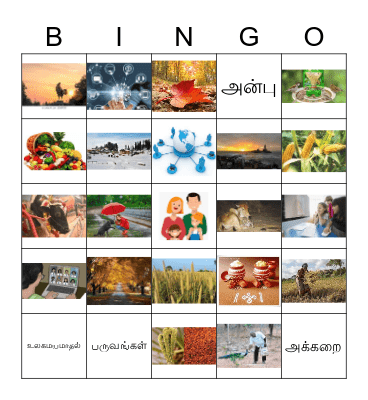 வேற்றுமை உருபுகள் Bingo Card