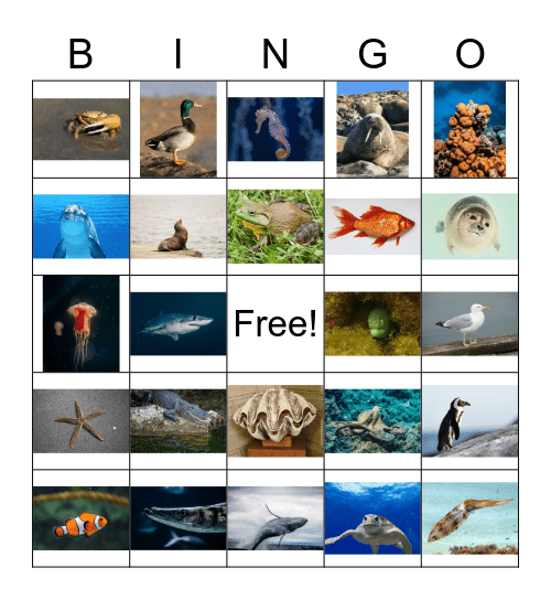 Sea Life Bingo Card