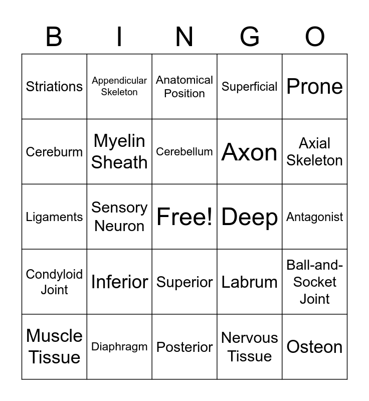 Final Exam Bingo Card