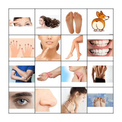 LES PARTIES DU CORPS Bingo Card