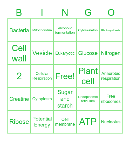 Cell Structure & Function Bingo Card
