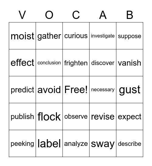 Vocabulary Bingo Card