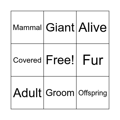 Vocabulary Bingo Card