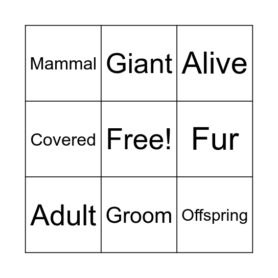 Vocabulary Bingo Card