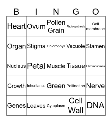 Cells Bingo Card