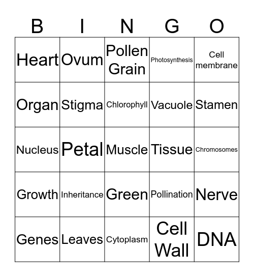 Cells Bingo Card