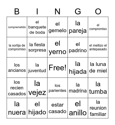 3A Family Vocabulary in Spanish Bingo Card