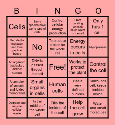 Bingo for science Bingo Card