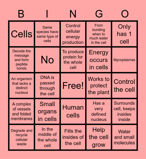 Bingo for science Bingo Card