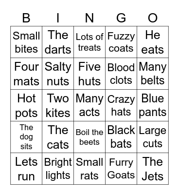 final /ts/ phrase level Bingo Card