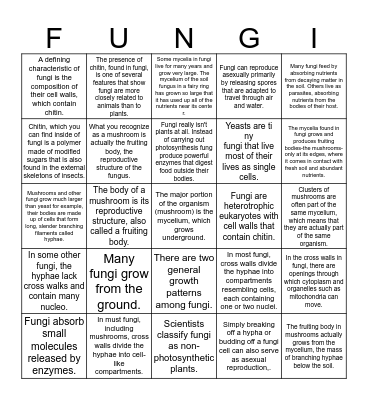 FUNGI BINGO Card