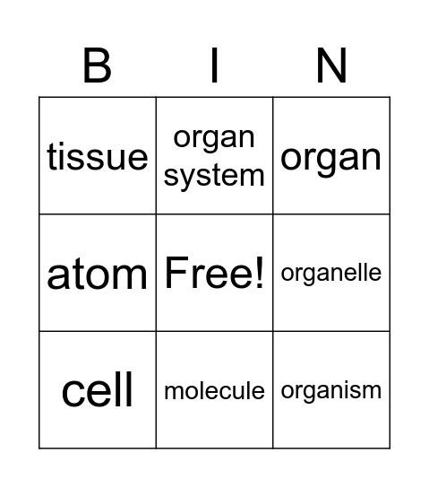 levels or organization Bingo Card