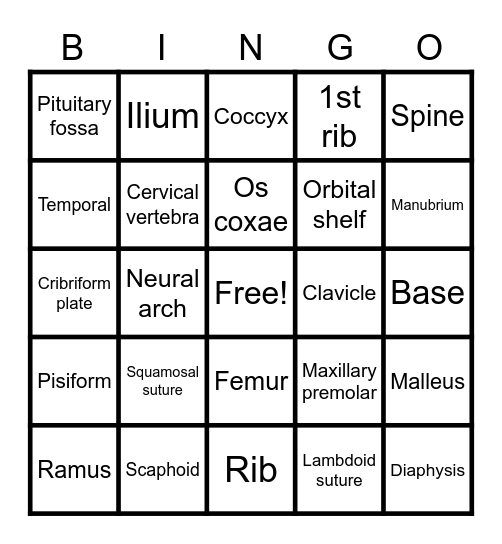 UWAnthSoc Bingo Card