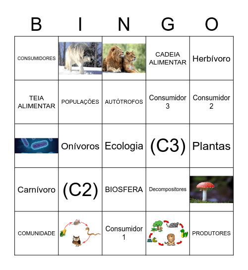 BINGO ECOLOGIA Bingo Card