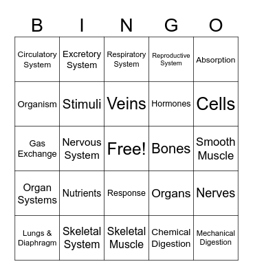 Human Body Systems Review Bingo Card
