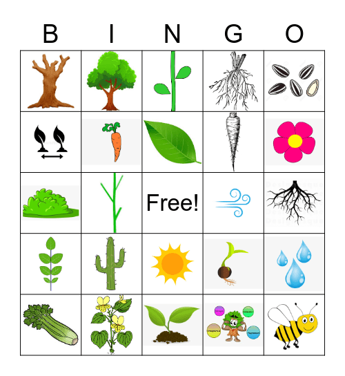 Plant Bingo Card