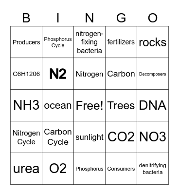 Biogeochemical Cycles Bingo Card