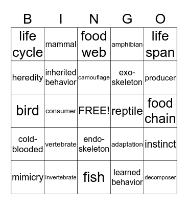 Animal Vocabulary Bingo Card