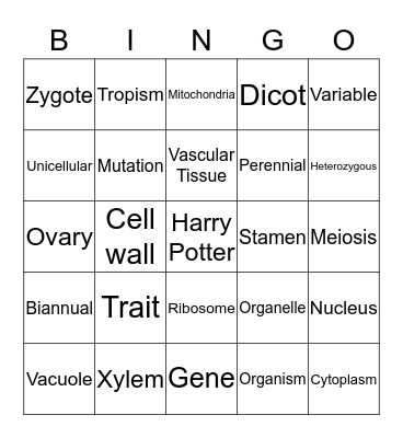 Science Bingo Card