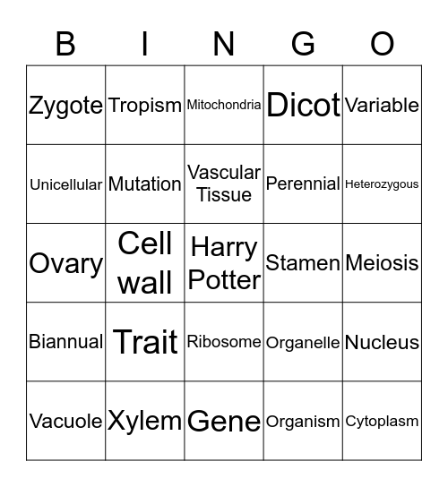 Science Bingo Card