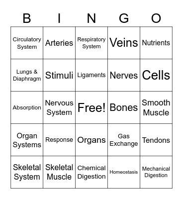 Human Body Systems Review Bingo Card