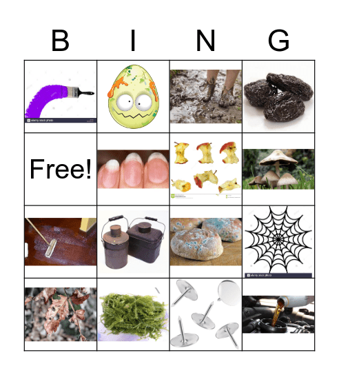 Witch's Brew Bingo Card