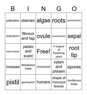 know your science Bingo Card