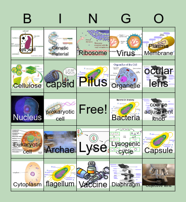 Cells Bingo Card