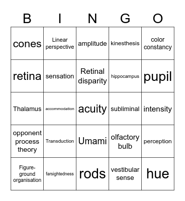 Sensation and Perception Bingo Card