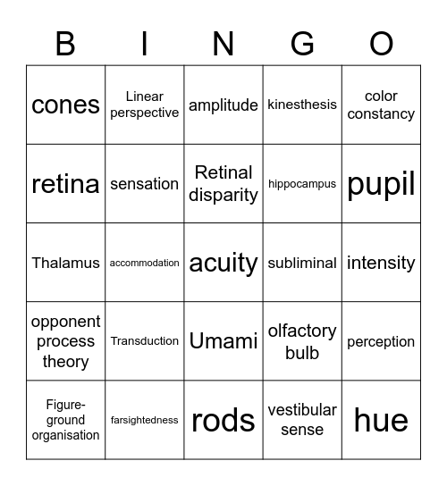 Sensation and Perception Bingo Card