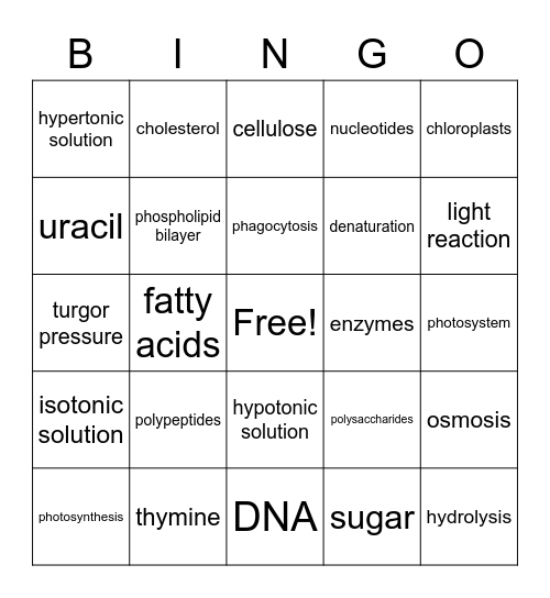 Week 1-4 Keywords Bingo Card