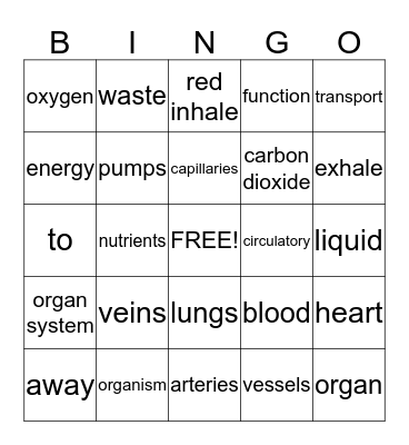 The Circulatory System Bingo Card