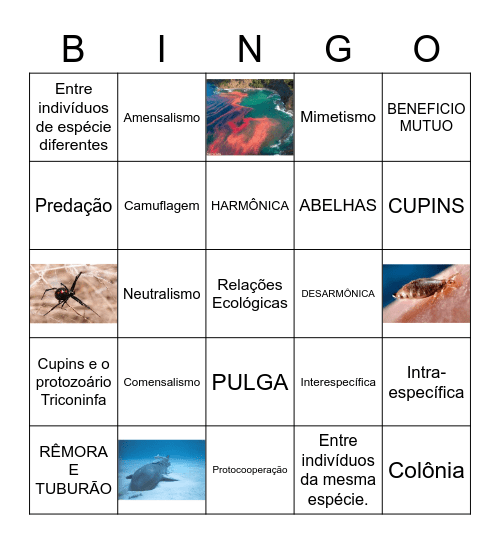 Relações Ecológicas Bingo Card