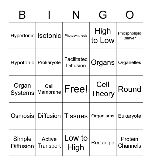 Cell Notes 1 Bingo Review Bingo Card