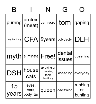 CATS Bingo Card