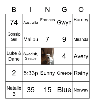 Ava's Birthday Bingo Card