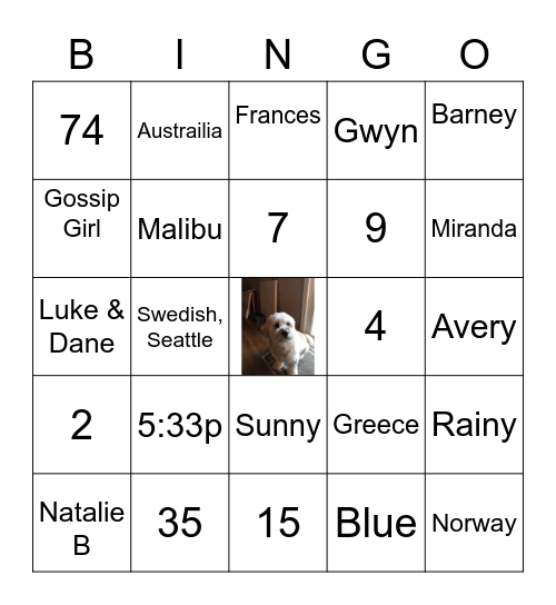 Ava's Birthday Bingo Card