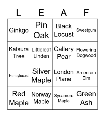Leaf Identification Bingo Card