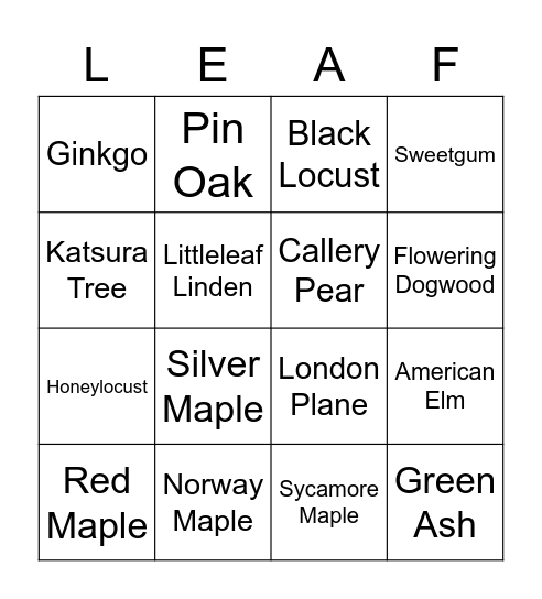 Leaf Identification Bingo Card